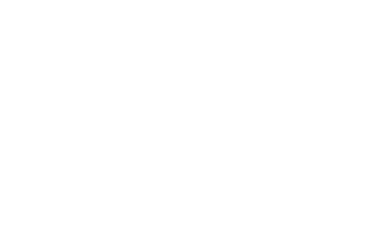 ahold delhaize usa