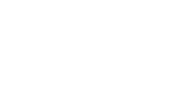 Texas Instruments